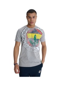 Resim Fenerbahçe Orijinal Lisanslı 6 Renk Logo Gri Tribün T-shirt Gri 