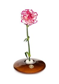 Resim Flora Design-elegance Kahverengi Cam Vazo Kahverengi 