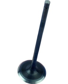 Resim Ns200 Egzoz Subap Jl511011 
