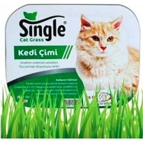 Resim Single Natural Kedi Çimi 