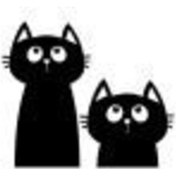 Resim Sevimli Kediler Oto Motor Laptop Duvar Folyo Sticker 10 X 8 