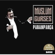 Resim Gereksi̇z Şeyler Müslüm Gürses Paramparça Plak 