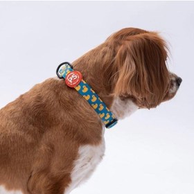 Resim Pawstar Ducks Boyun Tasması M Boyun Çevresi: 32 Cm X 48 Cm Çok Renkli 