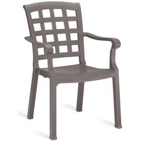 Resim Papatya Pasha Koltuk - Plastik Bahçe Balkon Koltuğu 