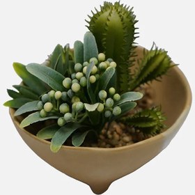 Resim Yapay Kokteyl Kaktüs 