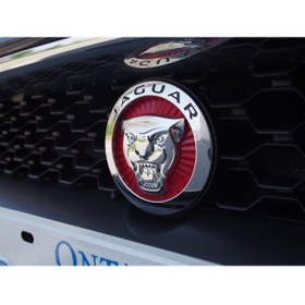 Resim Jaguar Dk Tuning Ön Panjur Izgara Panter 3m 3d 70mm Logo 