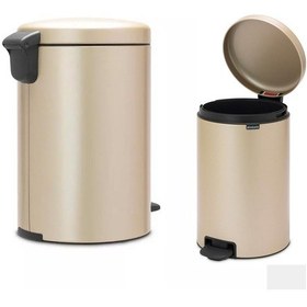 Resim Brabantia Çöp Kutusu 20 Litre Newicon Pedallı Şampanya Rengi 