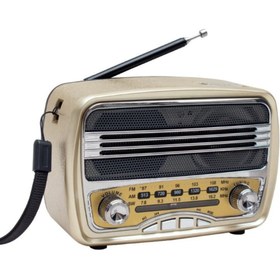 Resim Skygo Everton Rt 840 Radyo 5384688 