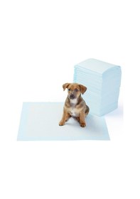 Resim Köpek Çiş Eğitim Pedi 120'li 60 x 90 CM 