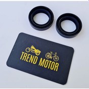 Resim Ön Amortisör Keçesi Takım A Kalite - Honda Dio 110 