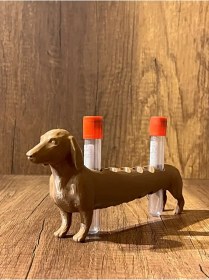 Resim Köpek Laboratuvar ve Kan Tüpü Standı 