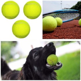 Resim 3 Adet Tenis Topu Köpek Oyun Topu 