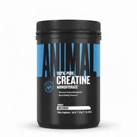 Resim Universal Animal Creatine Monohydrate 500 Gr Standart 