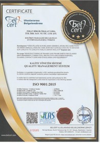 Resim Kinary Bisiklet Güneş Gözlüğü Turunucu Mat Çerçeve Siyah Cam 3007 