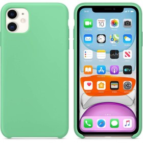 Resim Apple iPhone 11 Altı Açık Liquit Lansman Silikon Mint Yeşil 