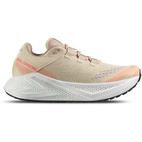 Resim Salomon Aero Glıde 3 Grvl W Kadın Koşu Ayakkabısı L47812500 