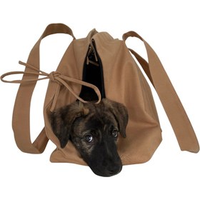 Resim Marsu Köpek Taşıma Çantası - Mustard 