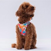 Resim Pawstar Air-mesh Mosaic Köpek Göğüs Tasması Çok Renkli 