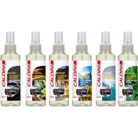 Resim Genel Markalar CALDİNİ OTO PARFÜM YAĞMUR ORMANI FOREST PARMAK SPREY 150 ML 