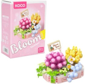 Resim Koco Bloom Boutique Karışık Sukulent 249 Parça 