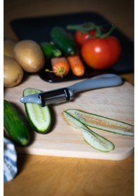 Resim Solingen Simli Gümüş Dikey Soyacak Paslanmaz Alman Çeliği, Ergonomik Sap, Çift Yönlü Kesici Ağız-193 Gümüş 