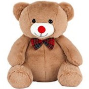 Resim Papyonlu Kahverengi Ayıcık 35 Cm 