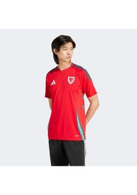 Resim Adidas Galler Milli Takım Erkek Kırmızı Futbol Forması - Iq2430 Kırmızı 