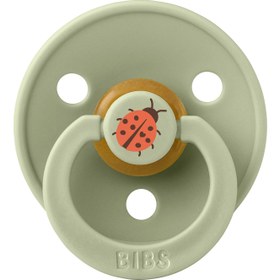 Resim Bibs Studio Colour Ladybug Emzik-Sage - 18+ Ay 