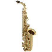 Resim Suzuki MCSA1 Mib Alto Saksafon (Silver Case) 