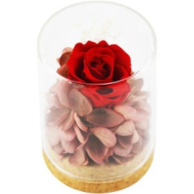 Resim Gajeena "kırmızı Ölümsüz Gül Dekoratif Cam Kavanoz - Romantik Hediye Ve Ev Dekorasyonu" 