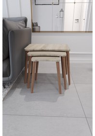 Resim Zigon Sehpa & Yan Sehpa 3'Lü Ahşap Ayaklı Salon Seti - Sonomo 