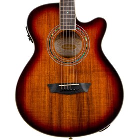 Resim Washburn EA55G Festival Elektro Akustik Gitar 