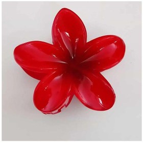 Resim Kırmızı Lotus Çiçek Desenli Mandal Toka 