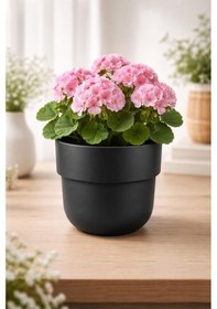 Resim So-kup4 Kuple No 4 Plastik Saksı Takımı İç Kovalı 11 Lt Siyah 6 Adet 