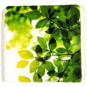 Resim Şeker Portakalım Dekoratif Figürlü Doğal Taş Gider Kapağı Banyo Süsü Tekli 10 x 10 cm 