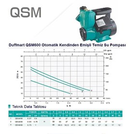 Resim Duffmart QSM600 Kendinden Emişli Sıcak Soğuk Su Pompası 