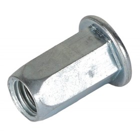 Resim AGCO Kör Rivet Somunu - Massey Ferguson / Fendt / Valtra | ACW1964140 