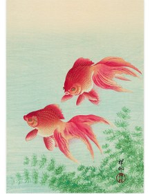 Resim Ohara Koson Two Goldfish - Art Print - William Turner / 50x70 cm 