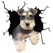 Resim Yingfu Su Geçirmez Kedi Çıkartması - Fransız Bulldog Evcil Hayvan Far Çıkartması Araba Style2 Style2 