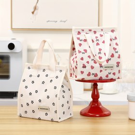 Resim Baglemon Gıda Temassız Kadife Baskılı Öğle Yemeği Çantası, Kadın ve Erkekler için Taşınabilir İzoleli Öğle Yemeği Kutusu, Ofis Piknik Plaj İçin Yeniden Kullanılabilir Sıvı Geçirmez Soğutucu Tote Çanta Organizatörü 