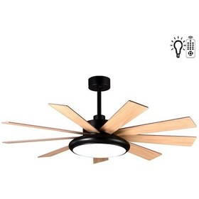 Resim Kaşkar Taflan F60100 Uzaktan Kumandalı Lambalı Tavan Vantilatörü 