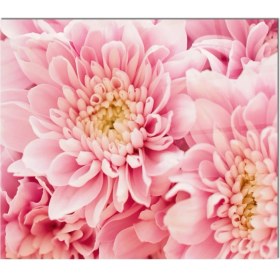 Resim Cam Ocak Arkası Koruyucu Ankastre Arkası Koruyucu | Pembe Çiçek 