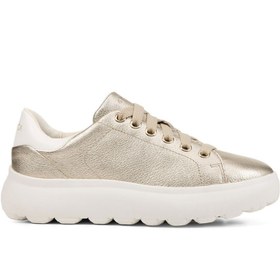 Resim Geox Kadın Gri Spherica Ec4.1 Bağcıklı Deri Sneaker D45tcc0bvbcc2x1r 