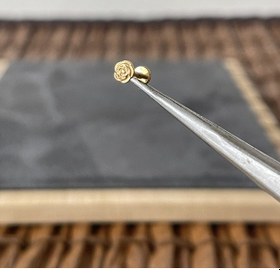 Resim Yüksek Kalite G23 Gül Altın Titanyum 6 X 1.2 MM Labret Piercing Altın 