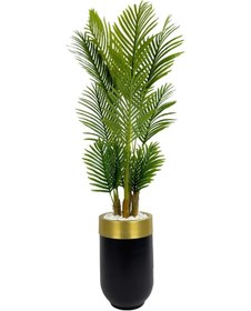 Resim Areka Palmiyesi 160cm Siyah Gold Metal Darbuka Saksıda H 