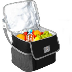 Resim Best Çanta Pro+ 10 Litre Termos Piknik Çantası Yalıtımlı Termal Soğutucu Buzluk Çanta 