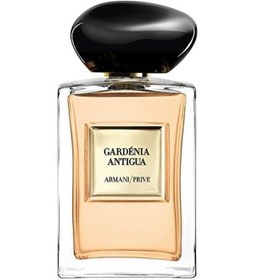 Resim Giorgio Armani Gardenia Antigua Edt 100 Ml Diğer 