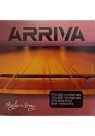 Resim Arriva 0,20 Uzun Sap Profesyonel Bağlama Teli Takımı 