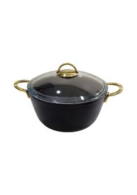 Resim Vivaldi Hitit Gold Tıtanıum 26 Cm / 5,5 Lt. Tencere Çok Renkli 