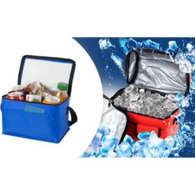 Resim Soğutucu Çanta Buzluk Termos Oto Termos Soğuk Tutucu Çanta Araç Buzluğu Soğuk Taşıma Çantası Termosu 